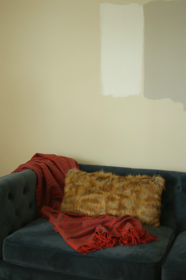 Best Wall Color For Boys Room
